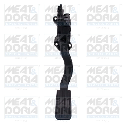Accelerator Pedal Unit